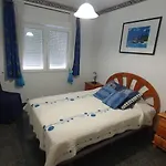 Sotelino