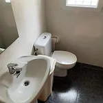 Sotelino